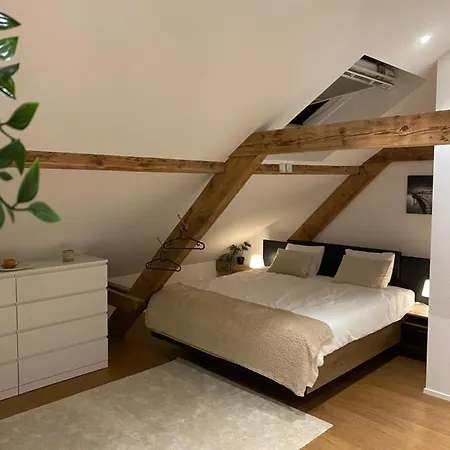 Apartment Eine Schoene An Der Birs Basel