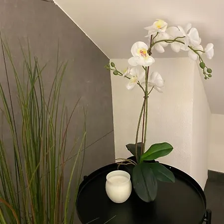 Apartment Eine Schoene An Der Birs *